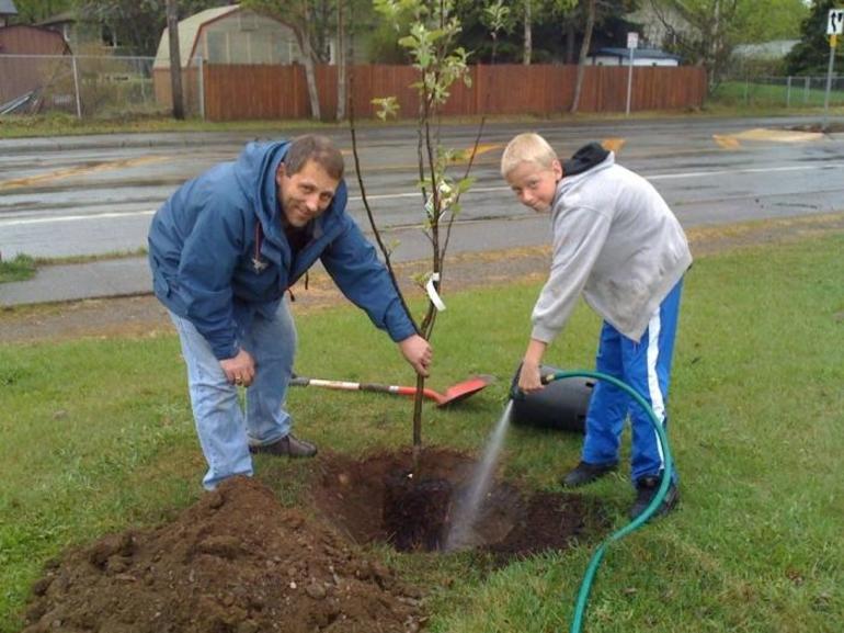 Riktig planting av epletrær om høsten