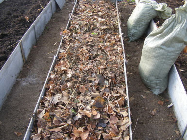 Plast uit natuurlijke producten