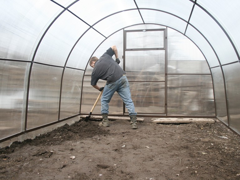 Greenage tillage