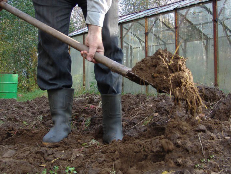 Biologisch voer moet worden gelegd