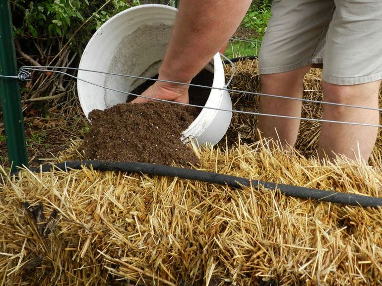 Halmjord mulching