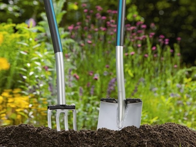 Welke maand is aardbeientransplantatie in de herfst