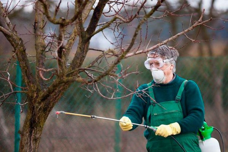 Tuinbehandeling in de herfst van ongedierte en ziekten