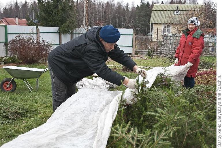 Når skal isolasjonen fjernes