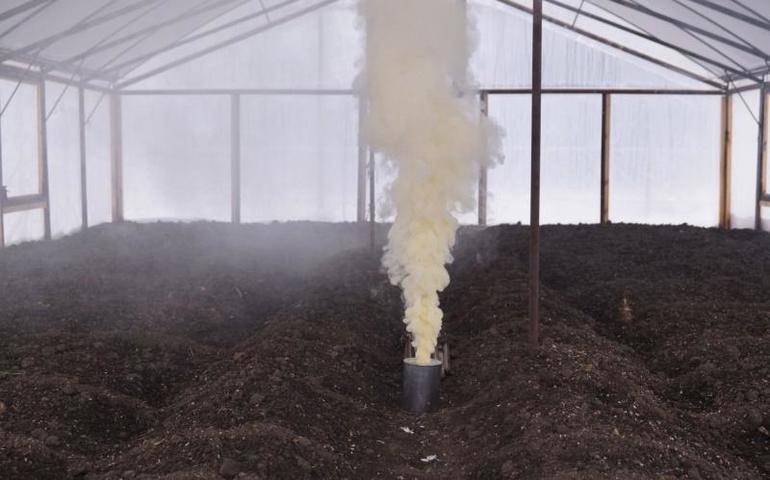 Autumn polycarbonate na pagproseso ng greenhouse