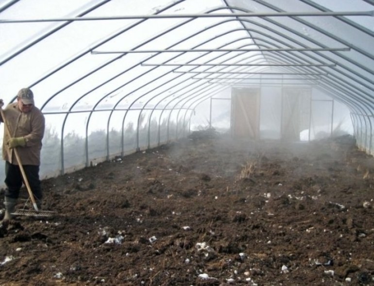 Pagproseso ng greenhouse sa taglagas