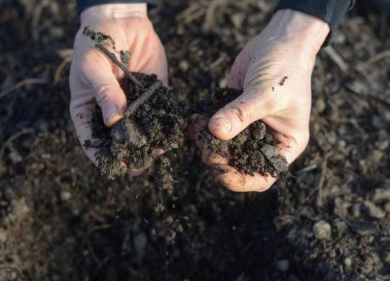 Verwerking van kassen in de herfst tegen plagen en ziekten