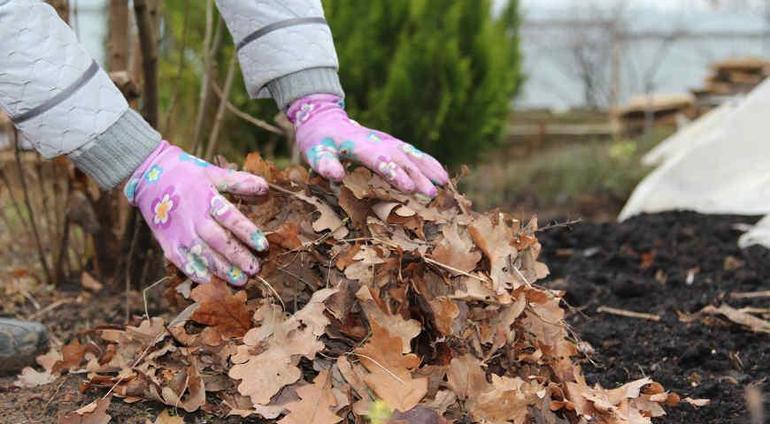 Naturlig dekkmateriale