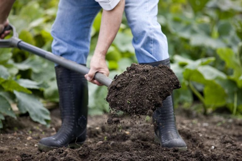 Aardbeienplot graven