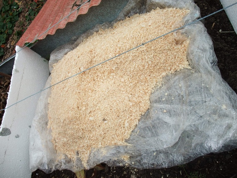 Sawdust para sa pagtatago ng mga ubas para sa taglamig