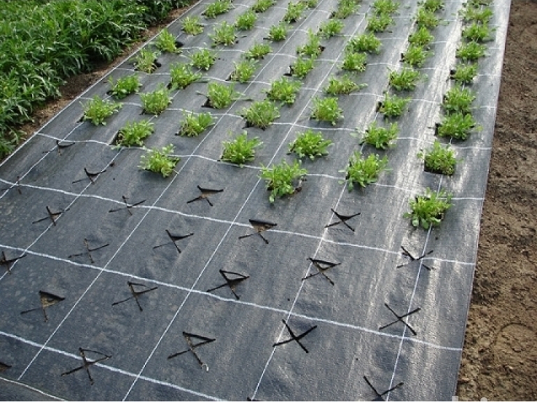  afdekmateriaal voor planten