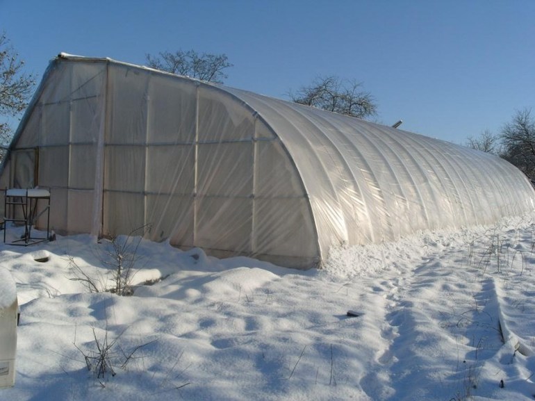 Paano bumuo ng isang greenhouse sa iyong sarili