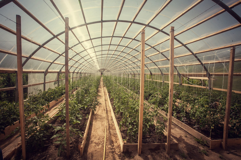 Mga tampok ng pagtatayo ng greenhouse