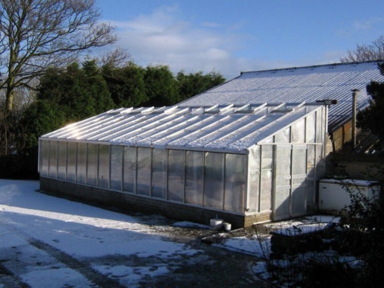 Paano bumuo ng isang greenhouse sa site