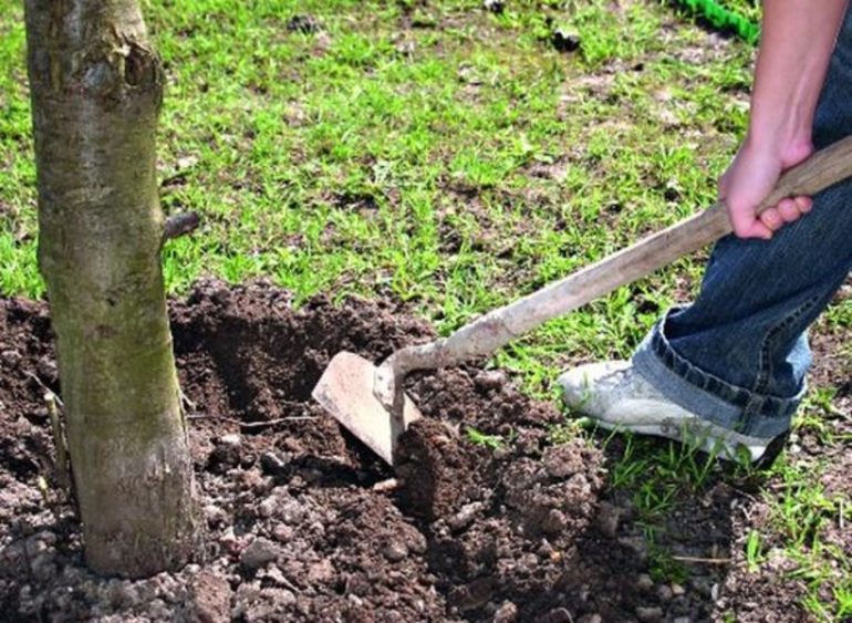 Werk in de herfst in de tuin