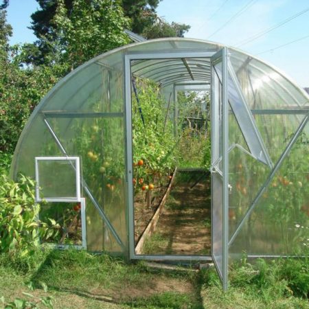 polycarbonate greenhouse para sa mga kamatis