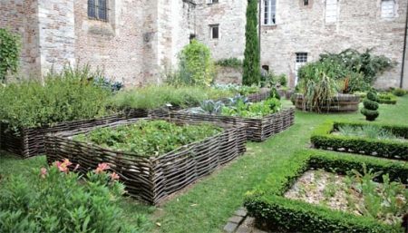 kruiden groeien in de tuin