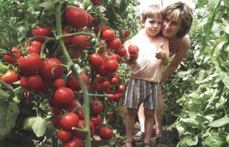 kas tomaten zorg