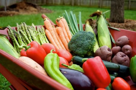 Maankalender voor de tuinman van mei 2017