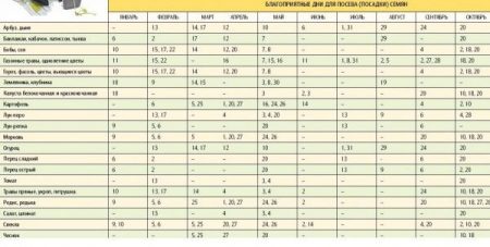 Lunar såkalender for gartneren og gartneren for 2016, et bord for frø