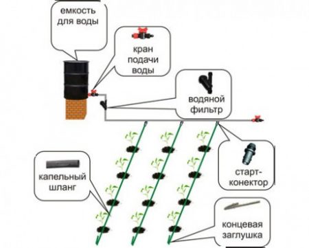 do-it-yourself drip irrigation sa bansa