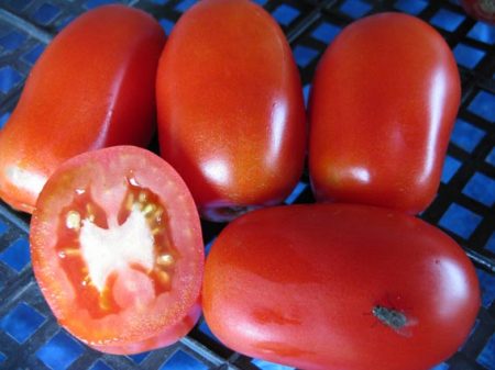 Soorten tomaten van Siberische selectie