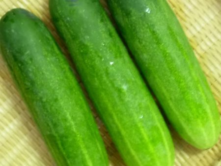 Ang mga iba't-ibang mga pipino para sa bukas na lupa, pollinated sa sarili