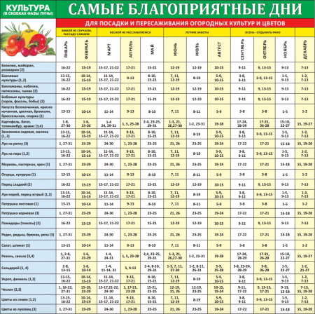 Gartnerkalender for 2016, plantedager for Moskva-regionen