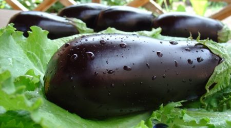 Når planter du aubergine for frøplanter i 2017 i henhold til månekalenderen