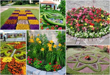 Vakre blomsterbed fra stauder