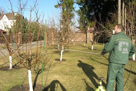 sproeien in de tuin tegen ongedierte