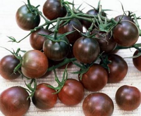 Utendørs Cherry Tomatoes, undersized