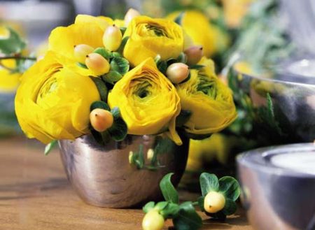 Ranunculus: planten en verzorging in de volle grond, foto