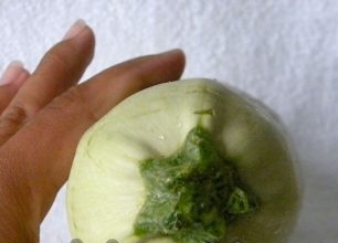 Hvordan dyrke courgette i det åpne bakken