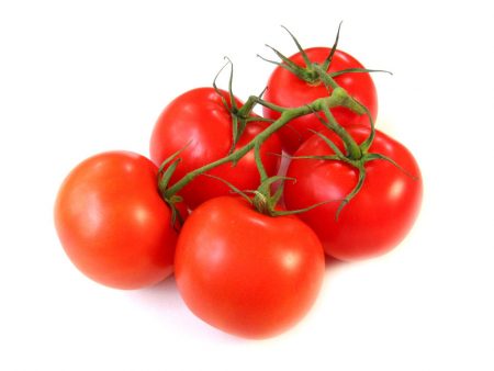 Tomato 