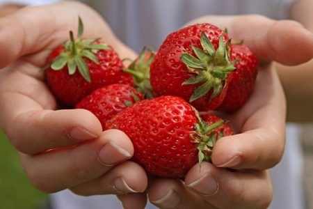 Aardbeidressing tijdens de bloei en vruchtvorming