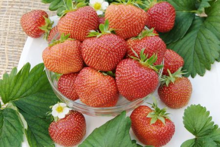 Strawberry Shelf: paglalarawan ng grado, larawan, mga pagsusuri