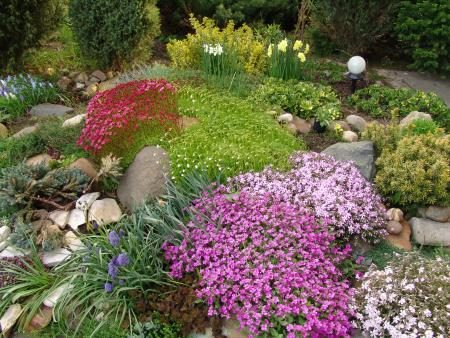 Meerjarige bloemen voor alpine heuvels: foto met namen