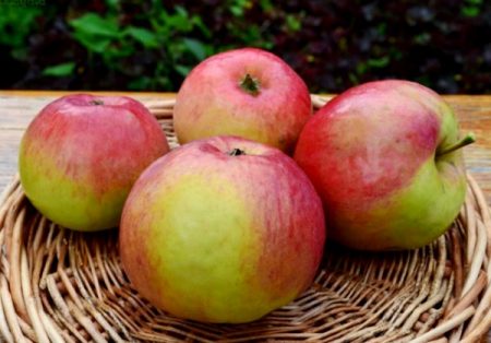 Apple tree Zhigulevskoe: paglalarawan, larawan