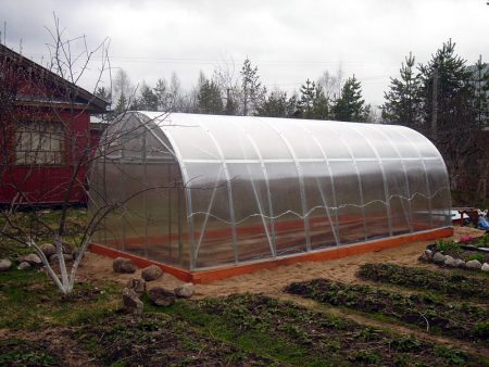 Pag-aalaga ng Polycarbonate Greenhouse