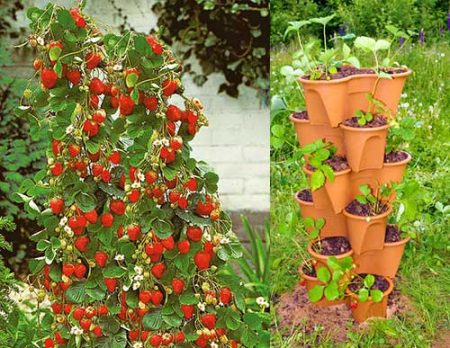 Do-it-yourself tall strawberry bed