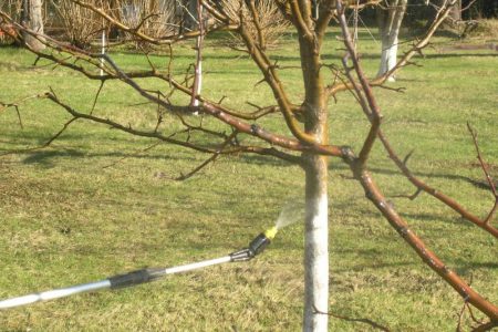 behandeling tegen tuinongedierte