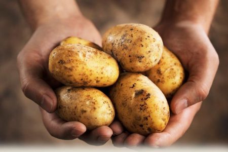 Potato Luck: paglalarawan at mga katangian ng iba't-ibang, larawan, mga pagsusuri