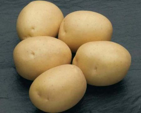 Potato Natasha: variasjonsbeskrivelse, bilder, anmeldelser