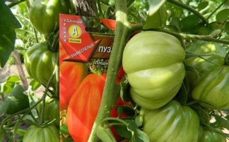 Tomato Puzata hytte: anmeldelser, bilder, utbytte, egenskaper og beskrivelse av sorten