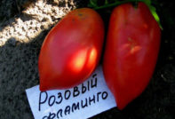 Tomato Pink flamingo: kjennetegn og beskrivelse av variasjonen, anmeldelser, bilder