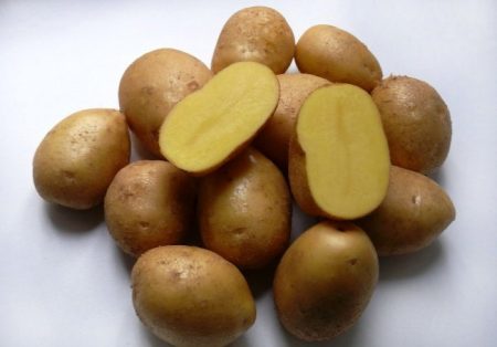 Potato Impala: beskrivelse og kjennetegn på sorten, foto, anmeldelser