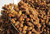 Bee pollen: mga benepisyo at pinsala, kung paano gawin