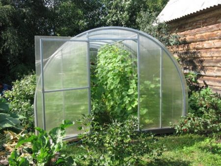 Greenhouse