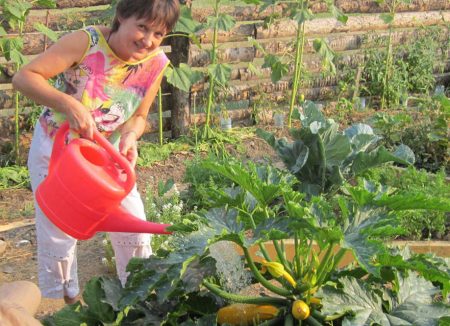 Vrouw drenken courgette